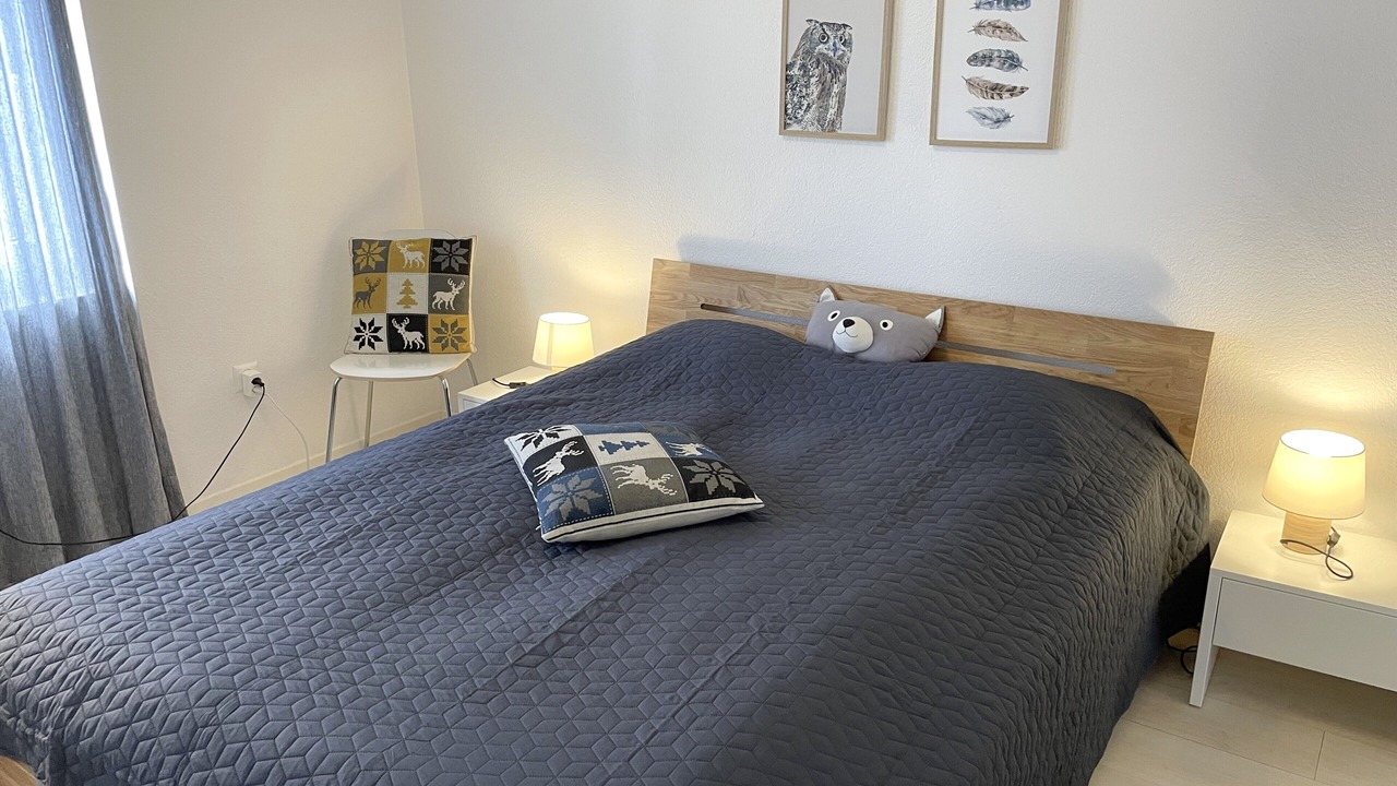 Photo of Bedroom in Minusio