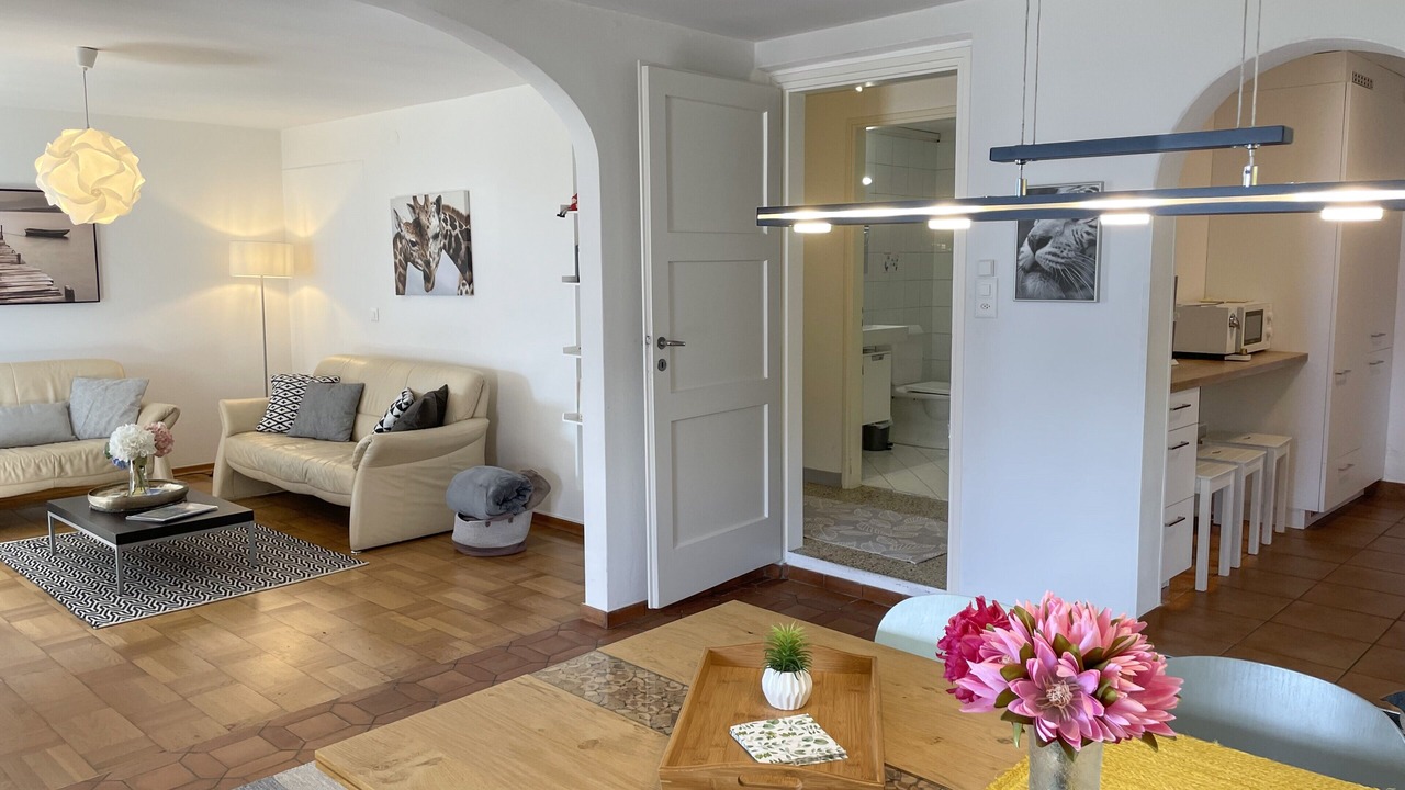 Photo of Livingroom in Minusio