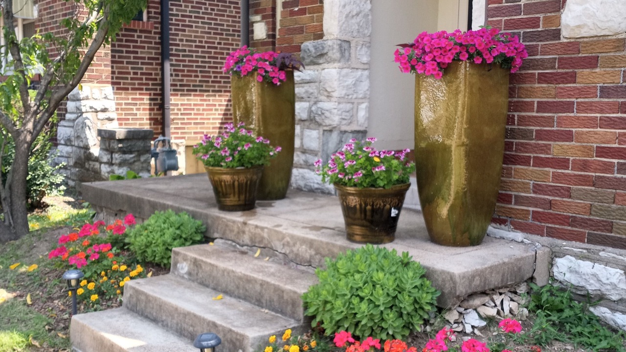 Photo of Outdoor in St. Louis