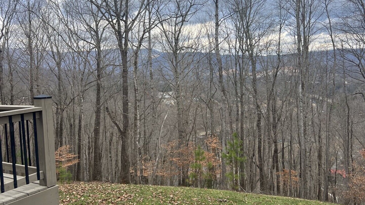 Photo of Others in Caryville