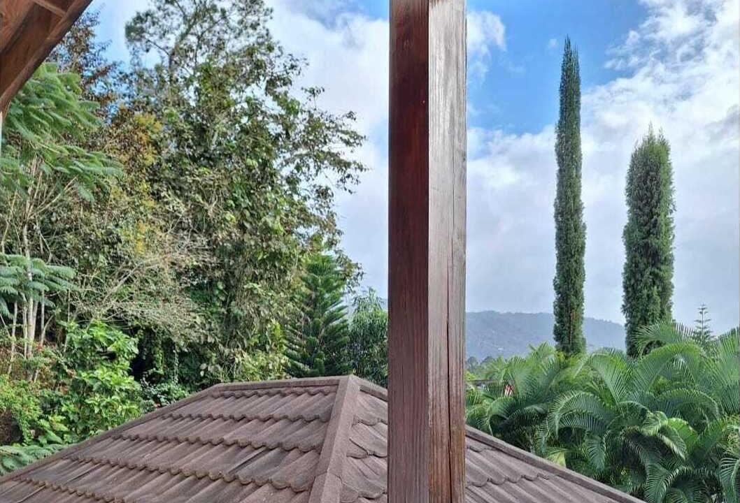 Photo of Outdoor in La Joya