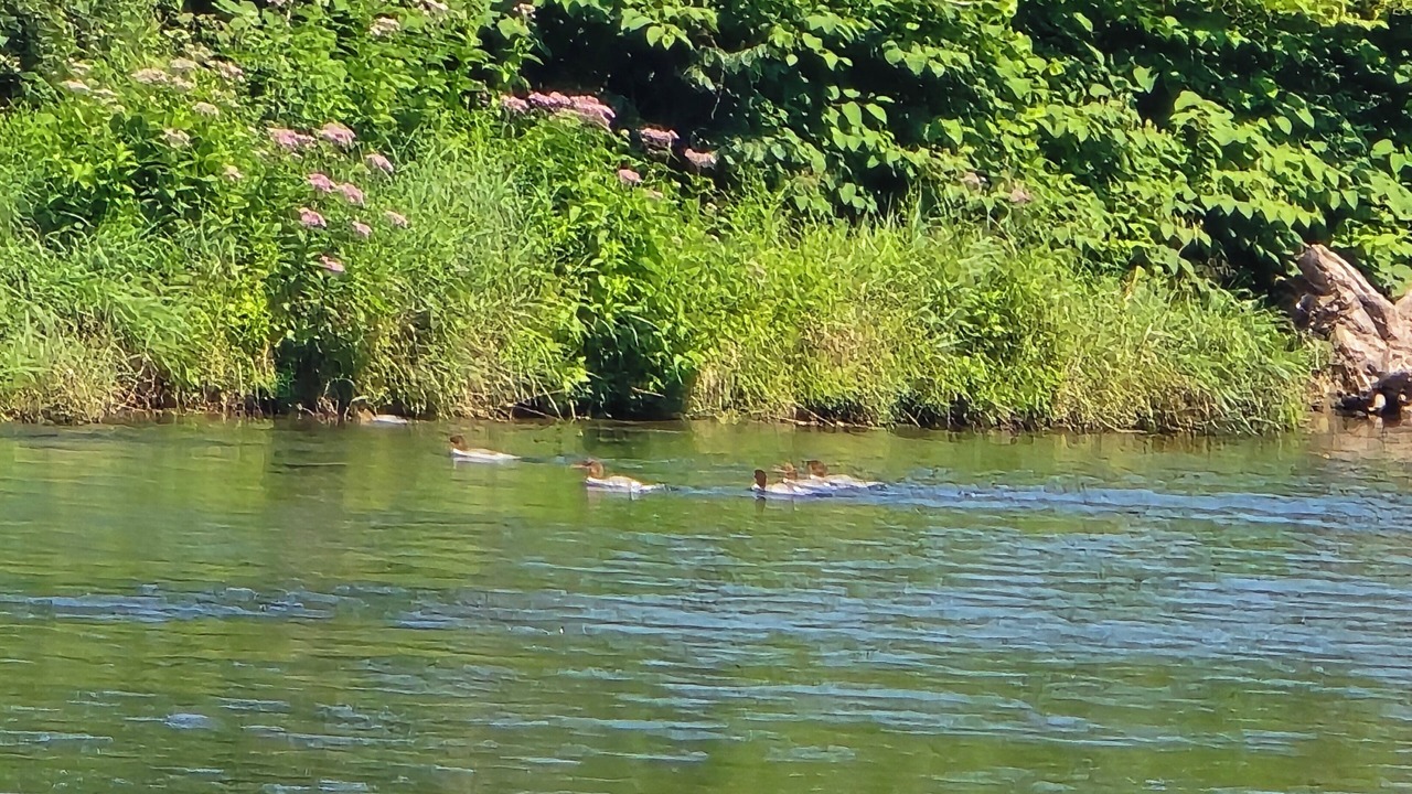 Photo of Outdoor in Fishs Eddy