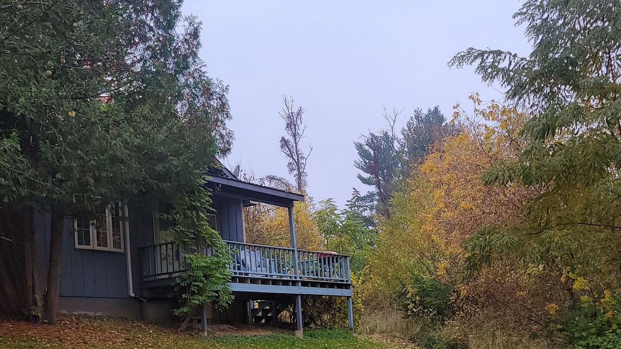 Photo of Outdoor in Savanna