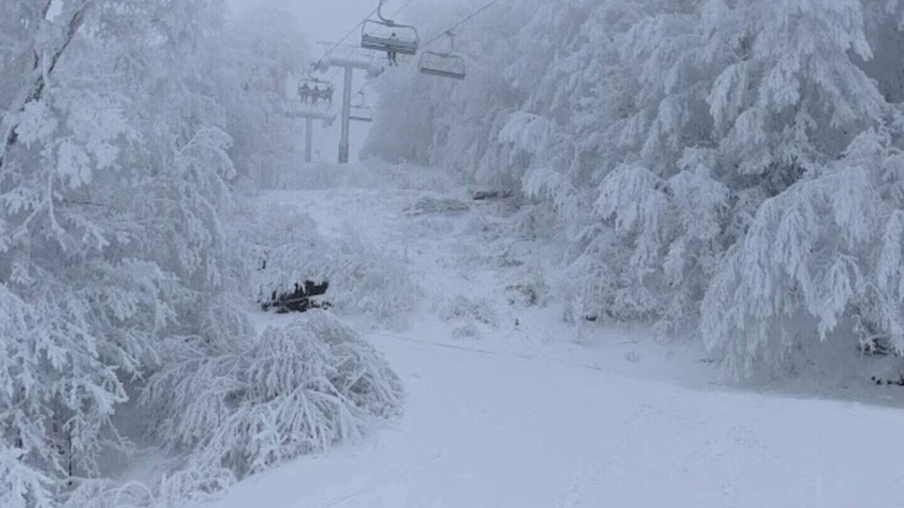 Photo of Others in East Jewett