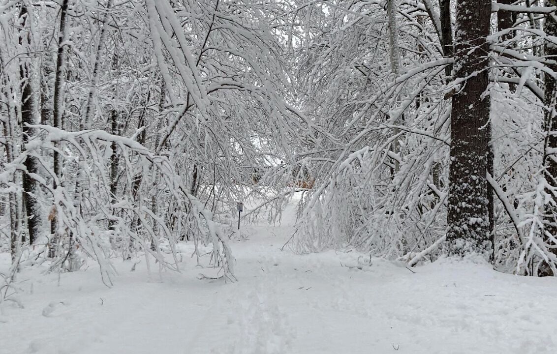 Photo of Others in Jaffrey