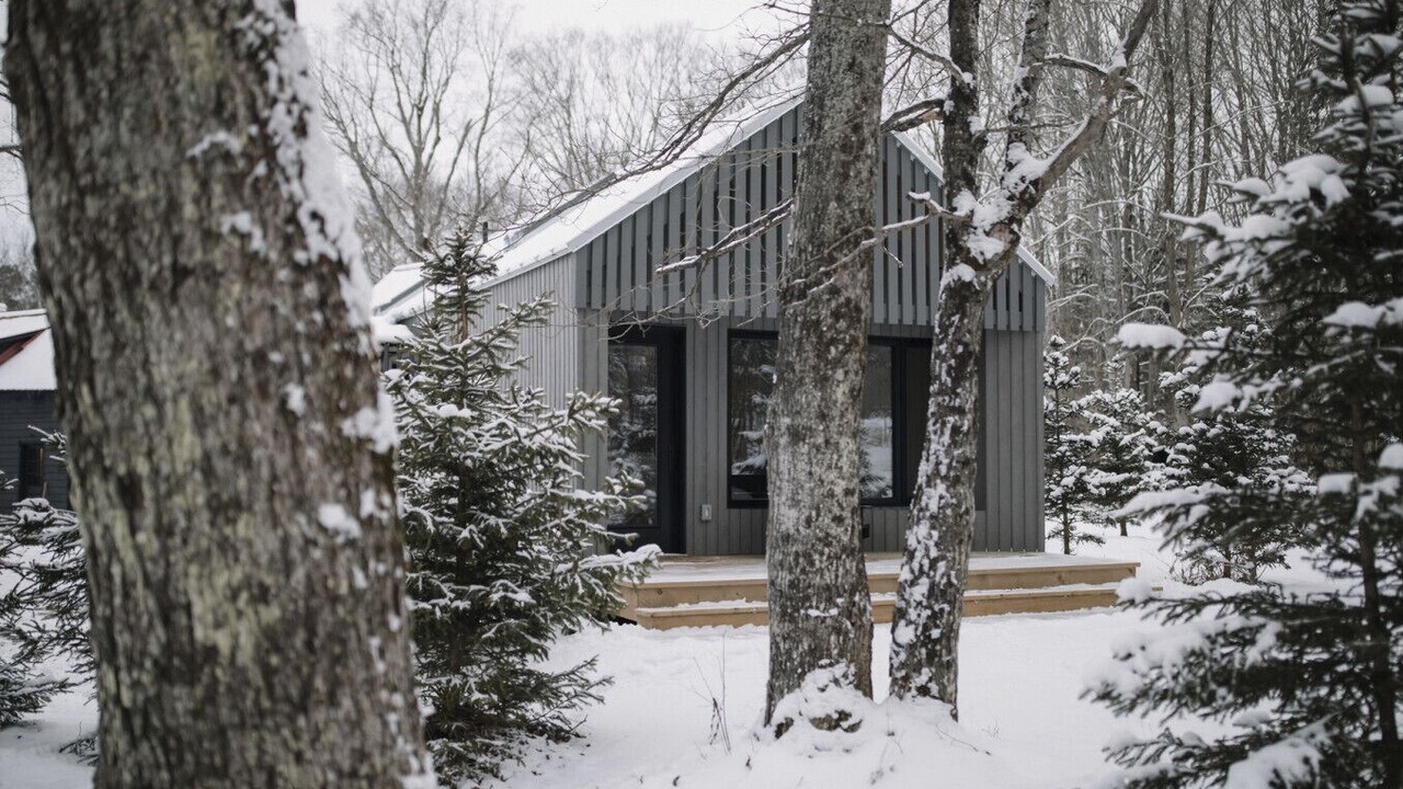 Photo of Outdoor in Algonquin Highlands