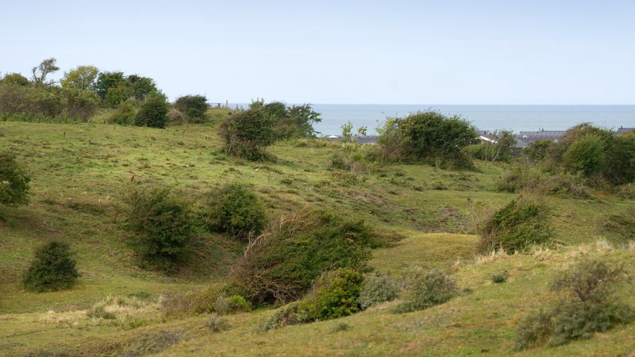 Photo of Others in Skallerup Klit