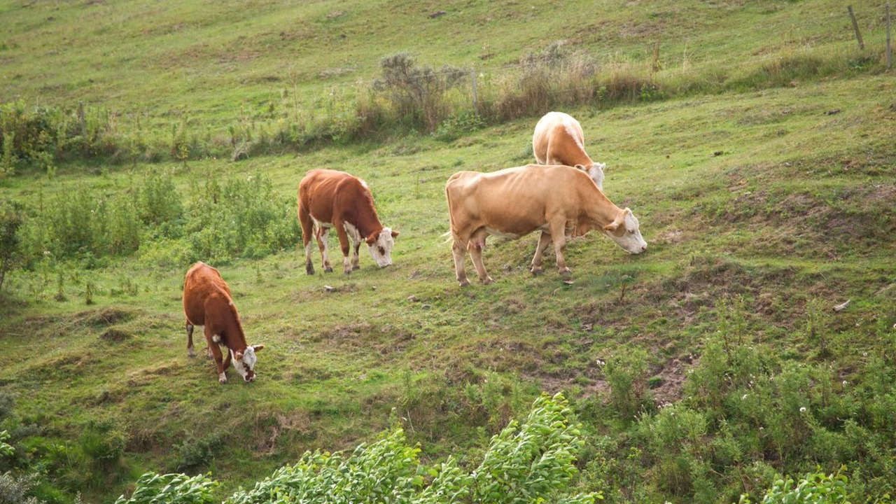 Photo of Outdoor in Skallerup Klit