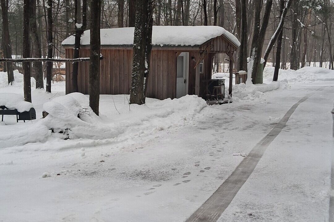 Photo of Others in Maple View