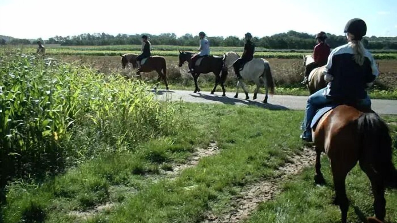 Photo of Others in Bigaroque