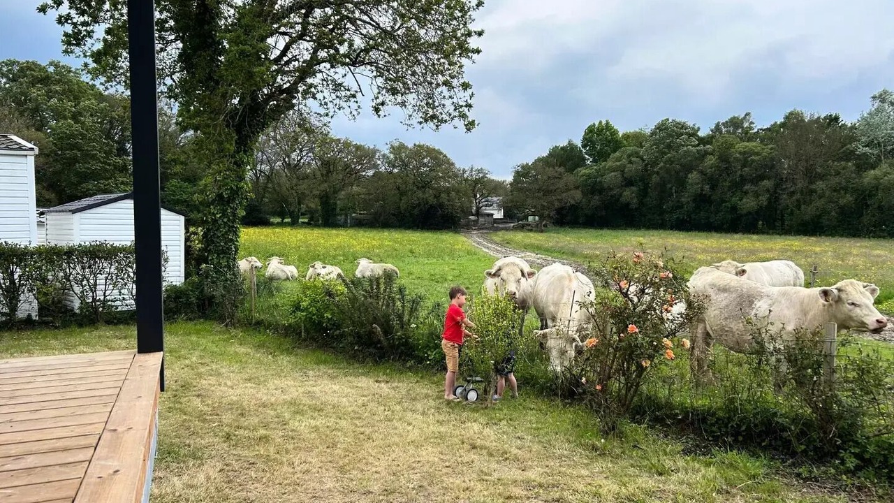 Photo of Others in Saint-Molf