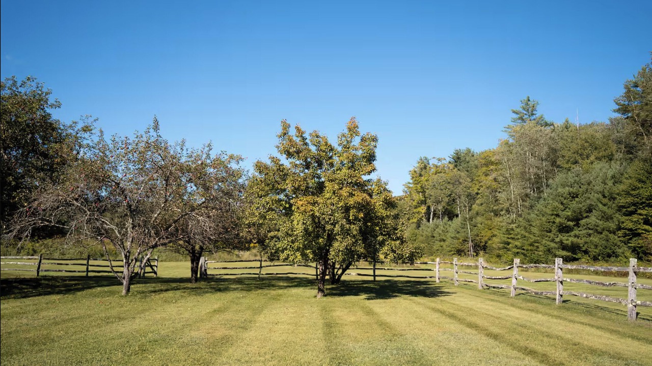 Photo of Others in Brookline