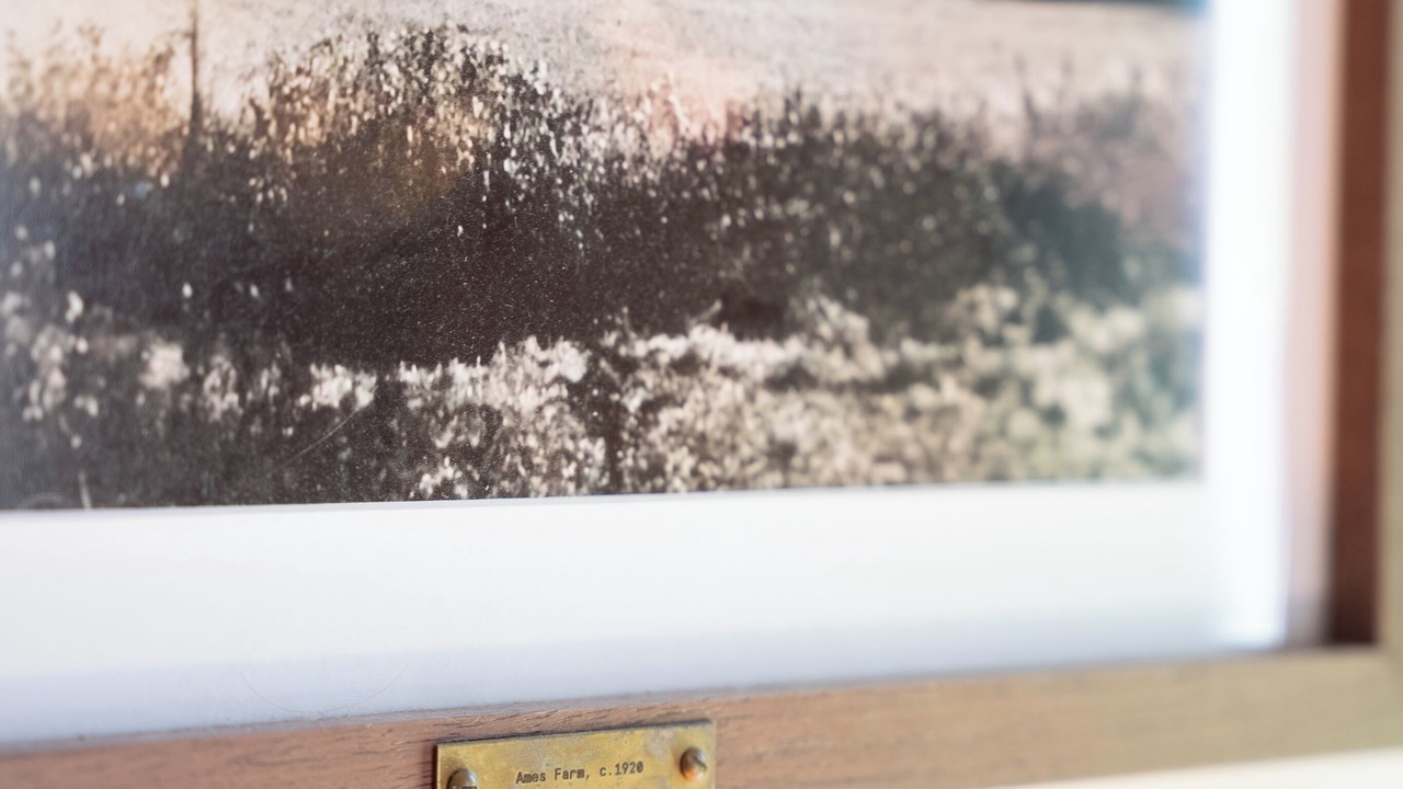 Photo of Others in Brookline