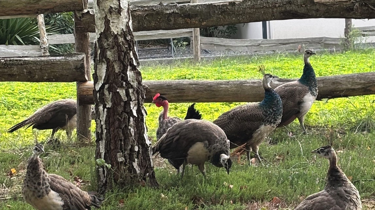 Photo of Others in Cerans-Foulletourte
