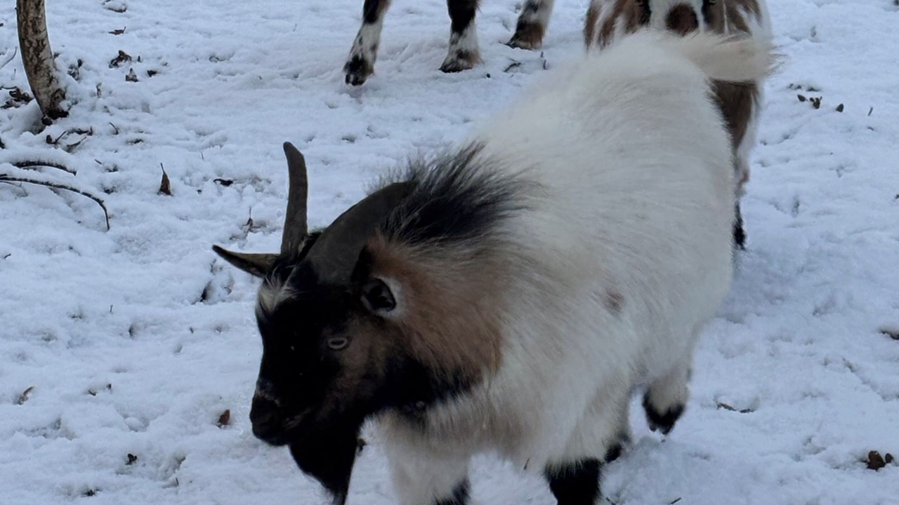 Photo of Others in Cerans-Foulletourte