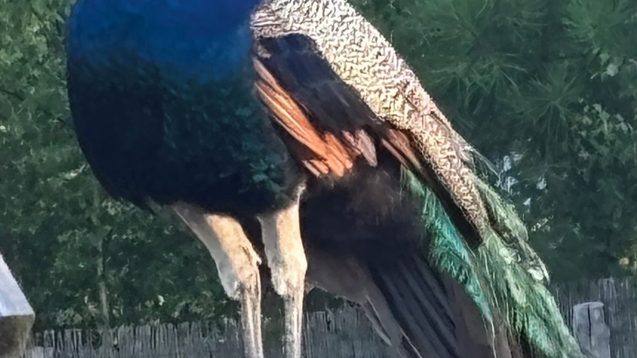 Photo of Others in Cerans-Foulletourte