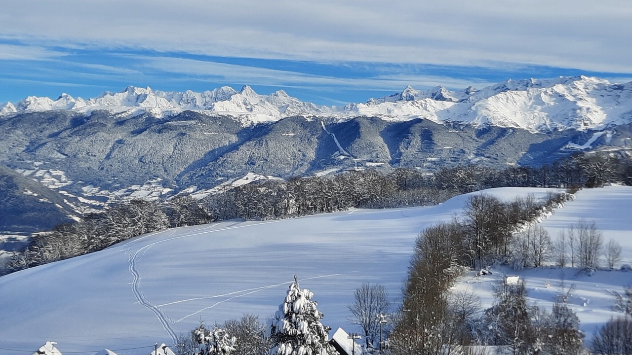 Photo of Others in Toiny