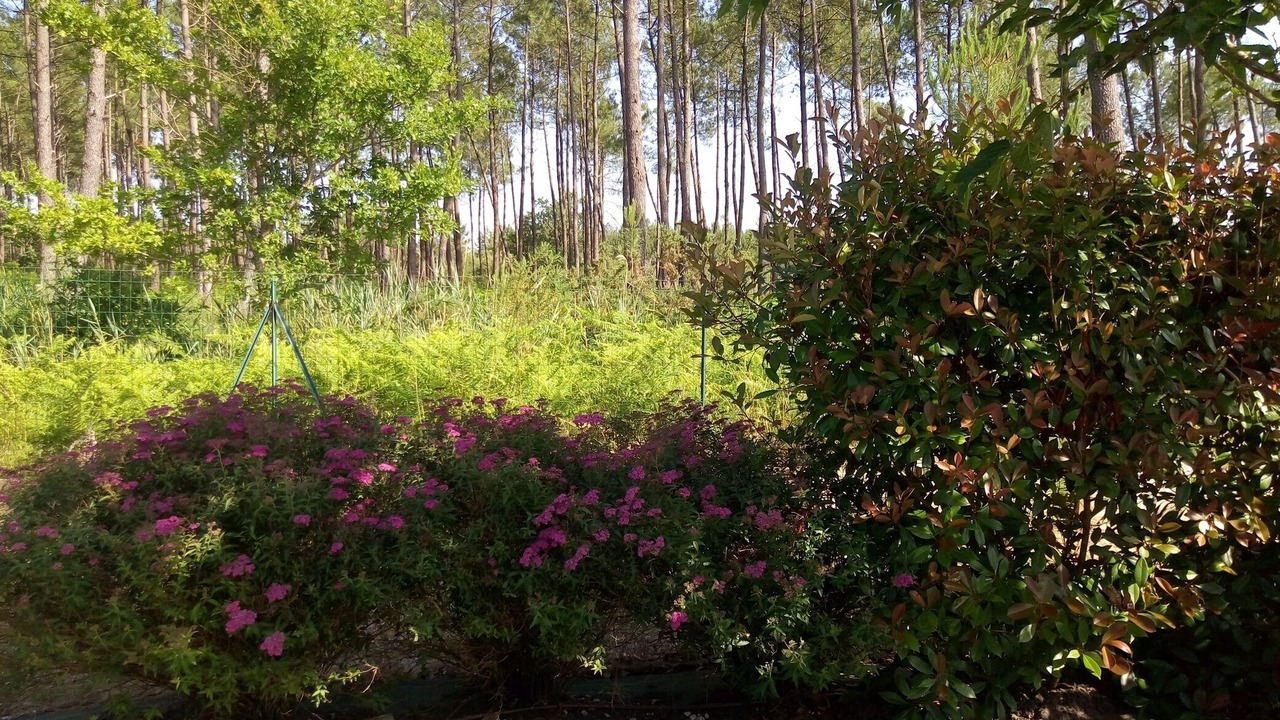 Photo of Outdoor in Lit-et-Mixe