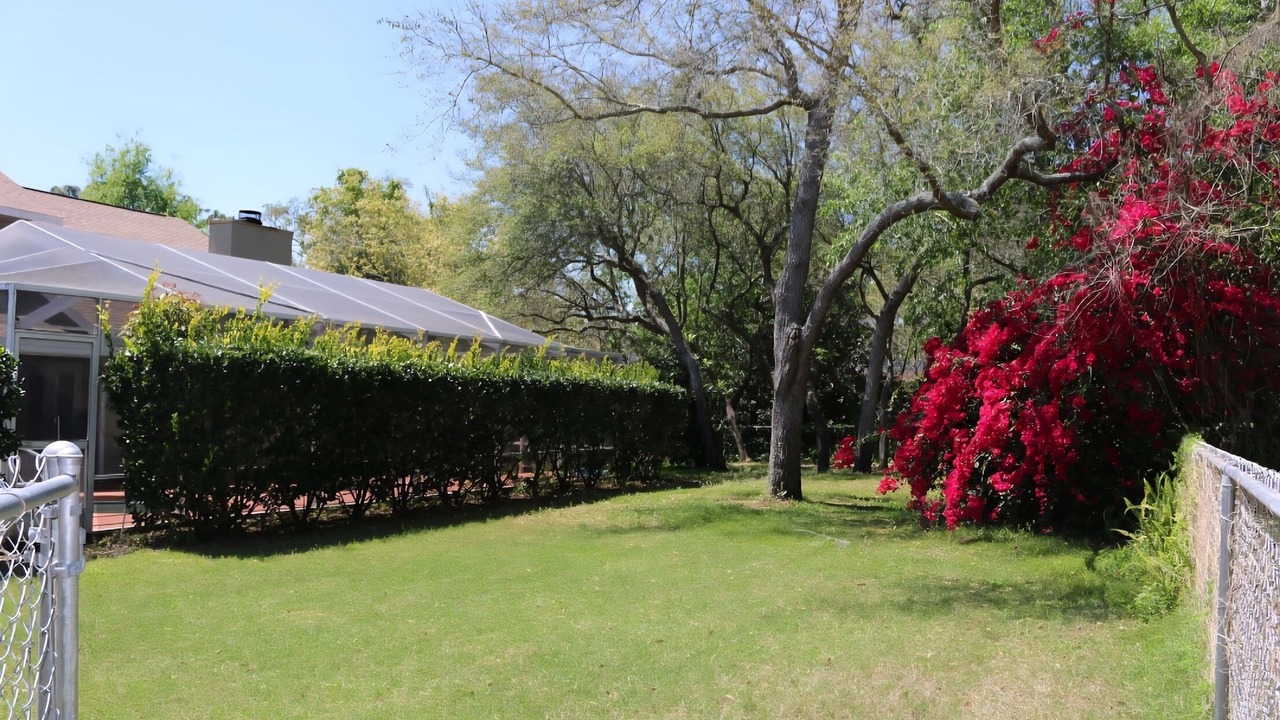 Photo of Outdoor in Haines City