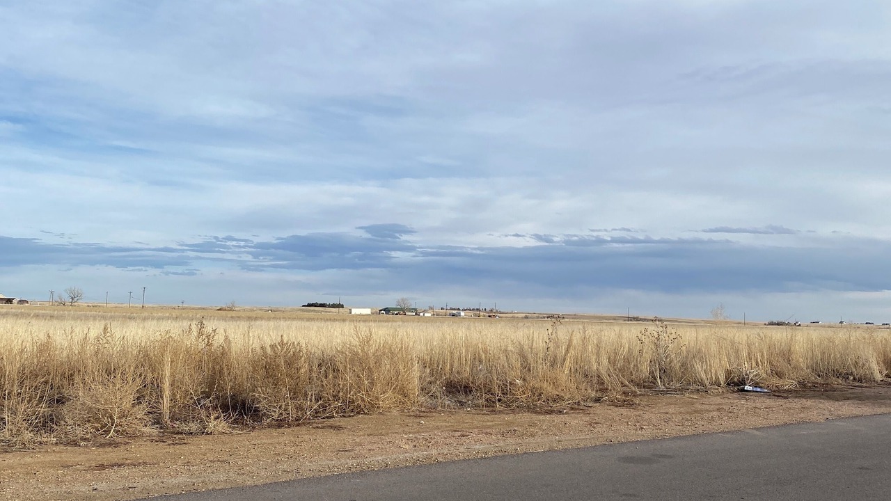 Photo of Others in Bennett