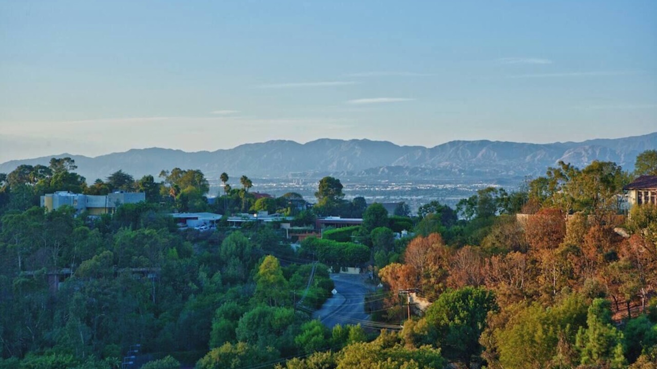 Photo of Others in Hollywood Hills