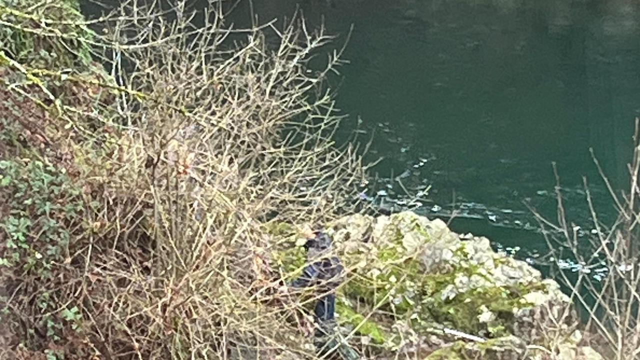 Photo of Others in Washougal