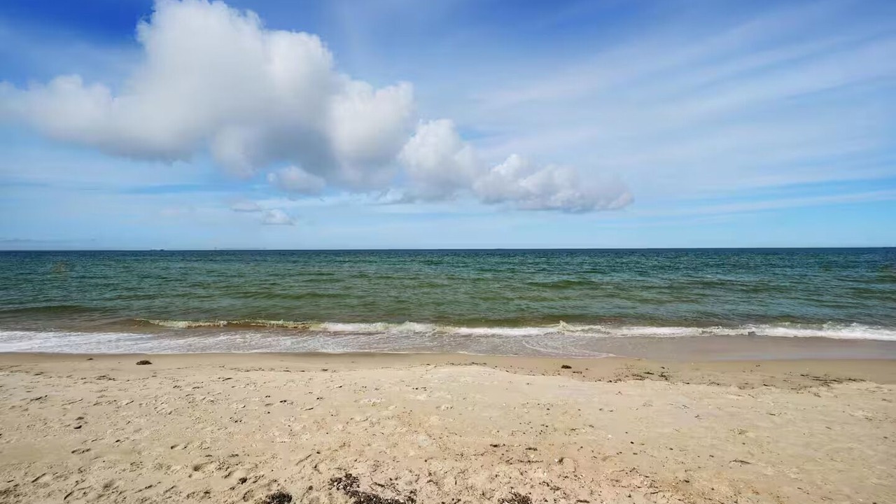 Photo of Others in East Ocean View