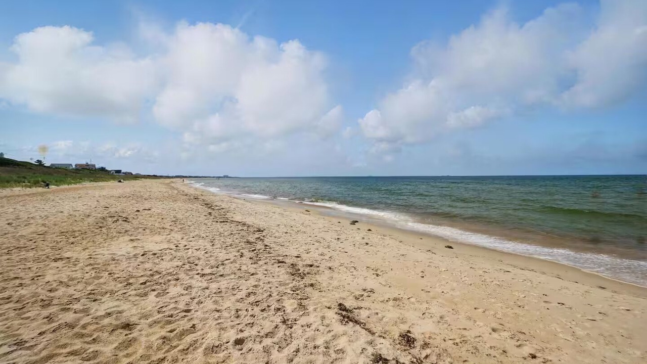 Photo of Others in East Ocean View