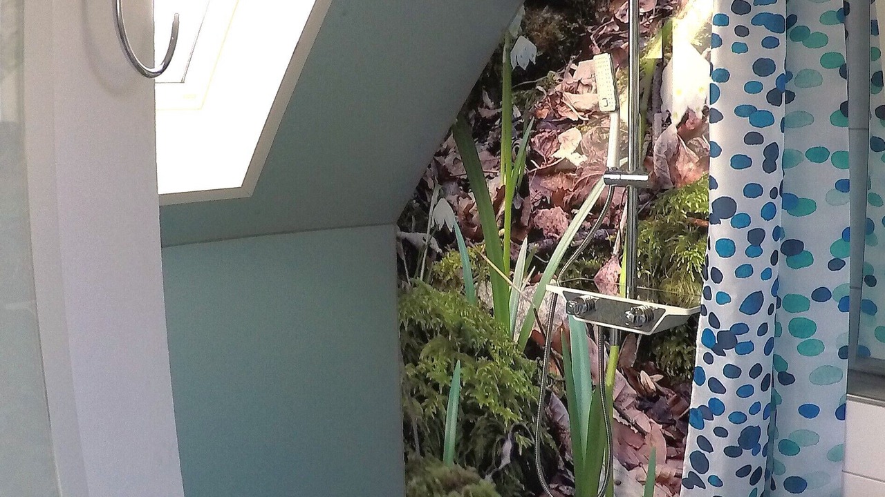 Photo of Bathroom in Kaisten