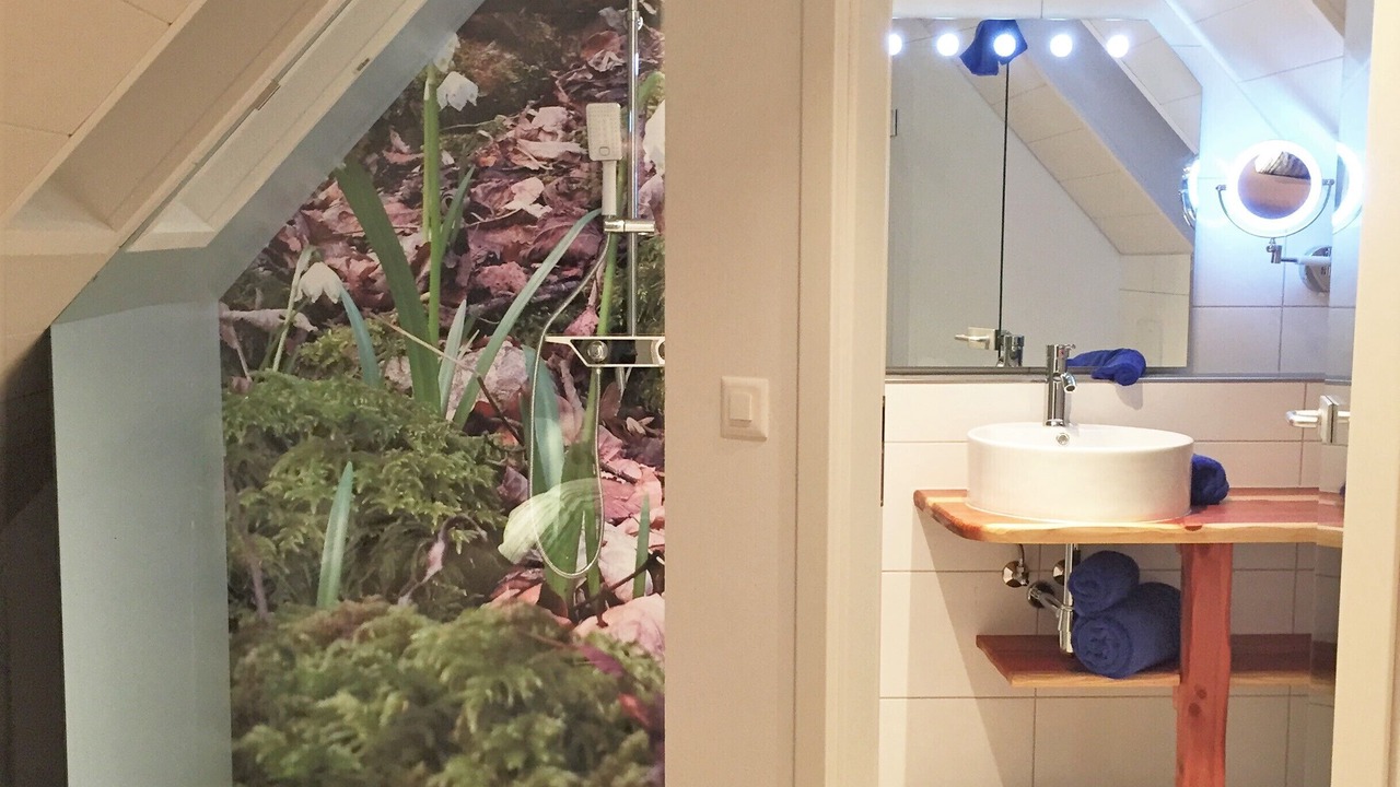 Photo of Bathroom in Kaisten