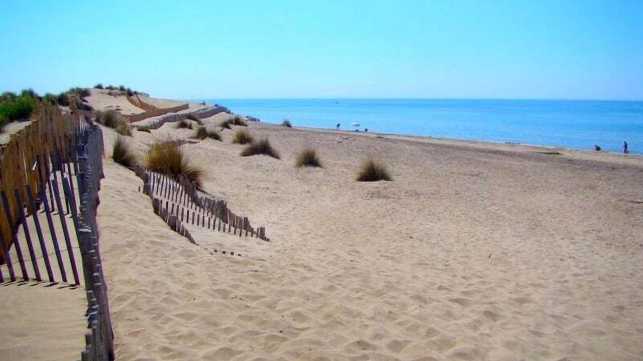 Photo of Others in Calvisson