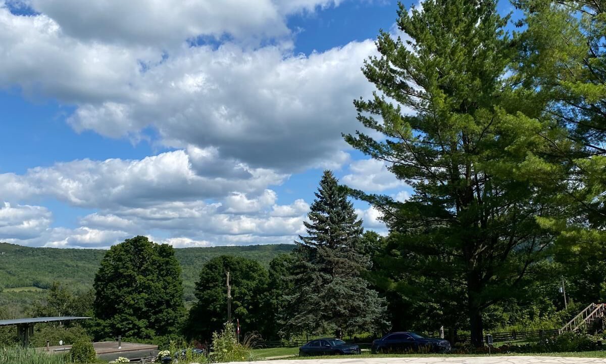Photo of Outdoor in Grey Highlands
