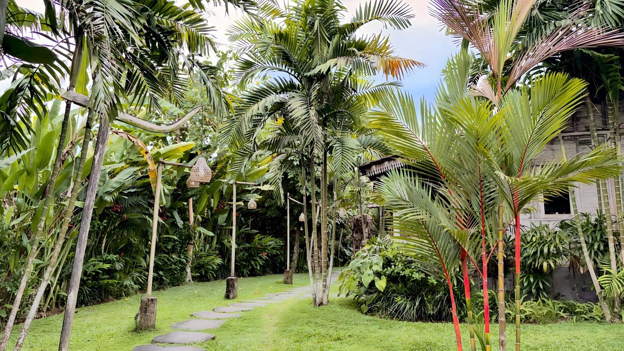 Photo of Outdoor in Lodtunduh