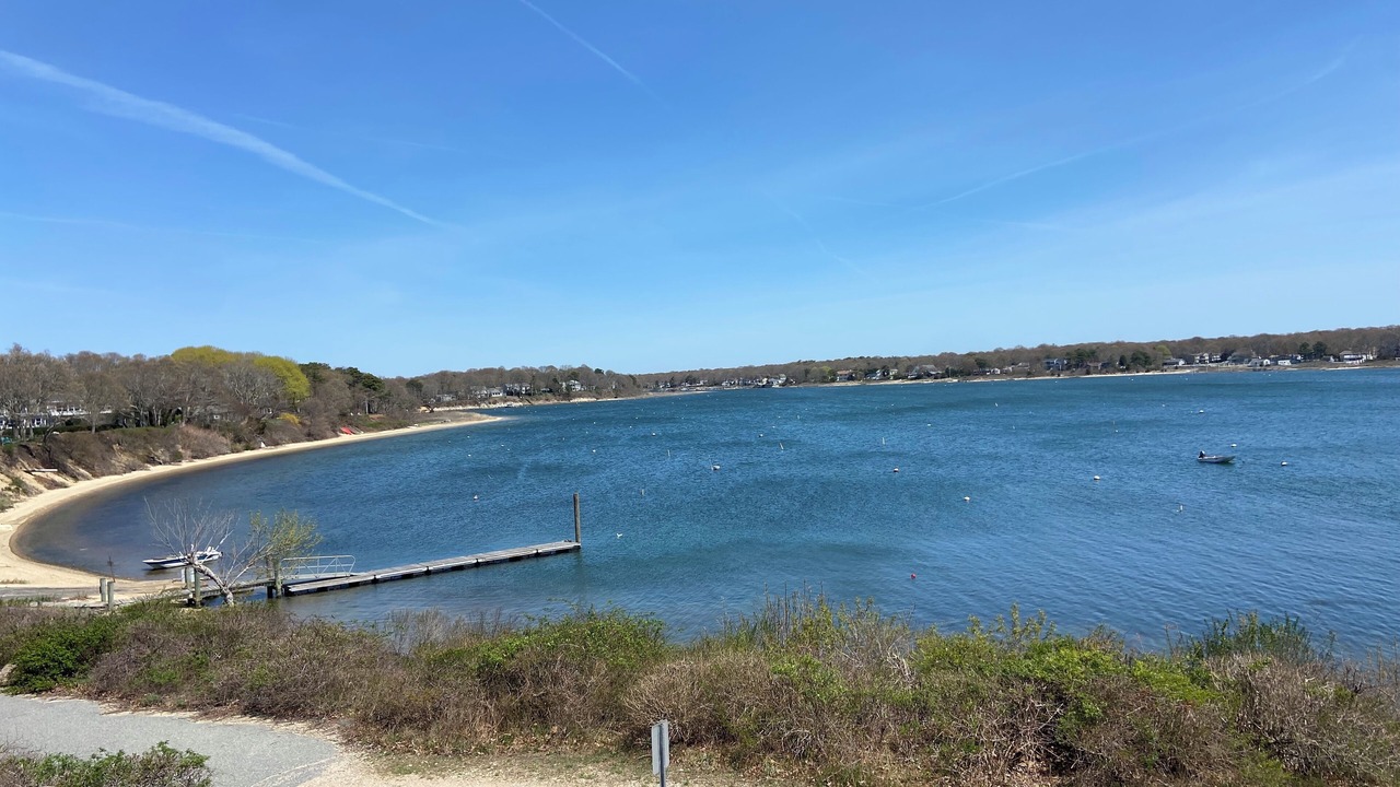 Photo of Others in Teaticket