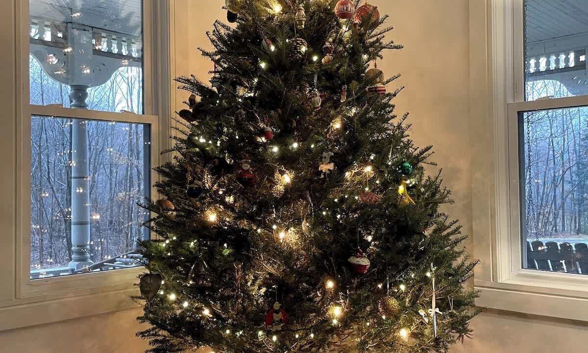 Photo of Others in Lanesville