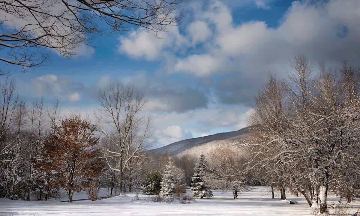 Photo of Bedroom in Lanesville