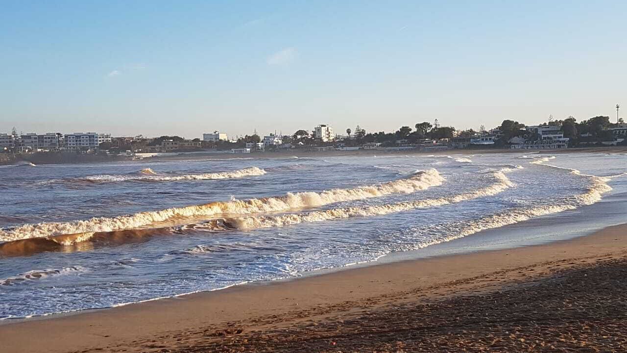 Photo of Others in Macinaggio