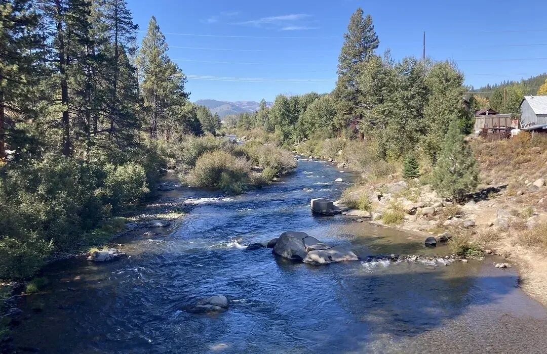 Photo of Others in Truckee