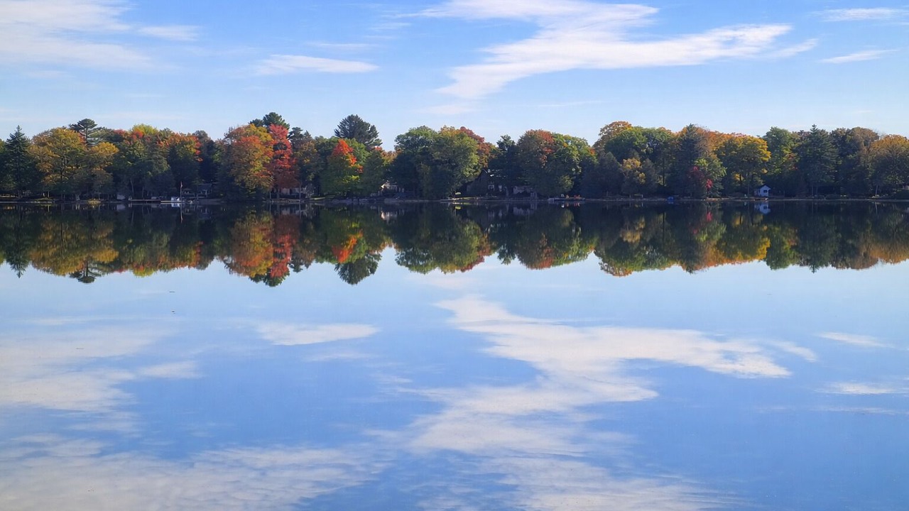 Photo of Outdoor in Washago