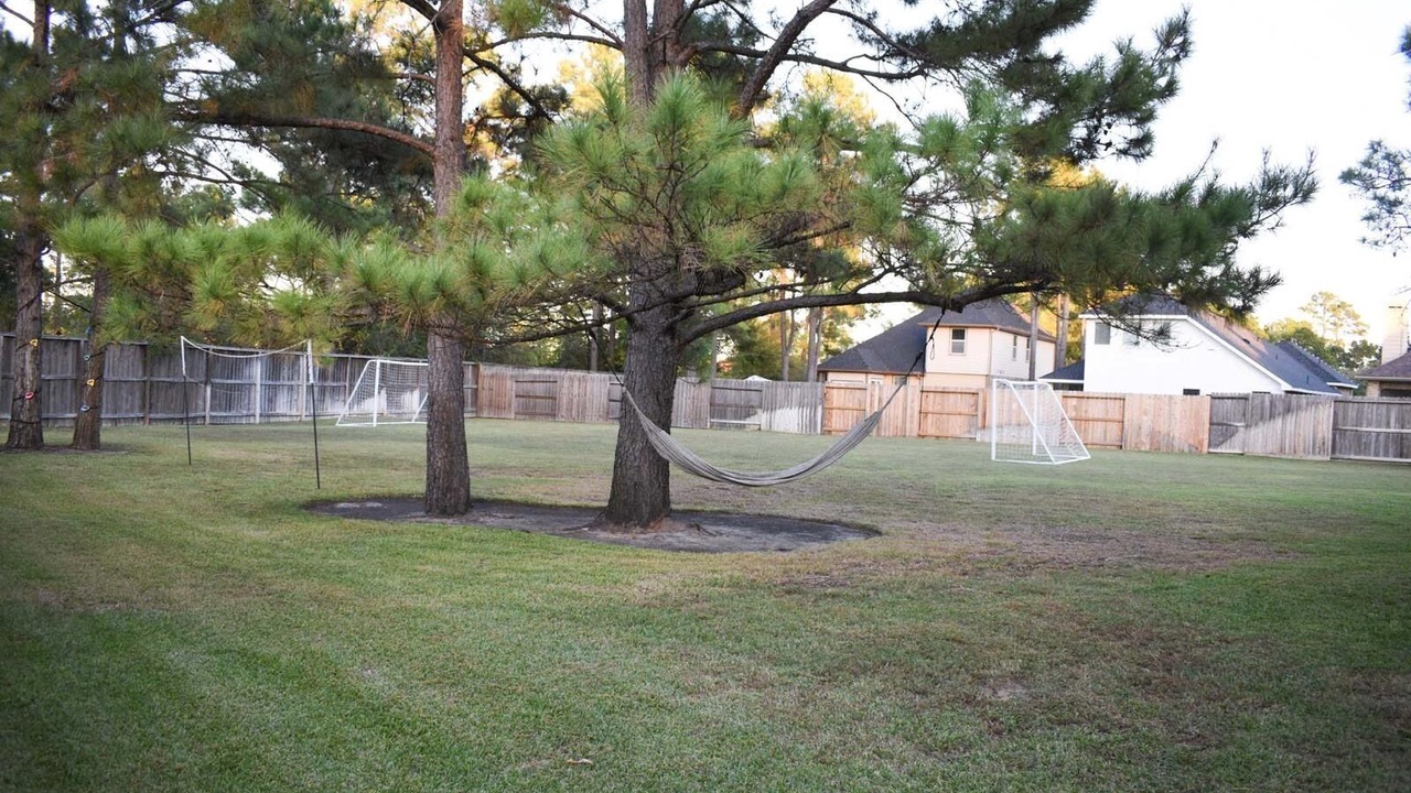 Photo of Outdoor in Spring