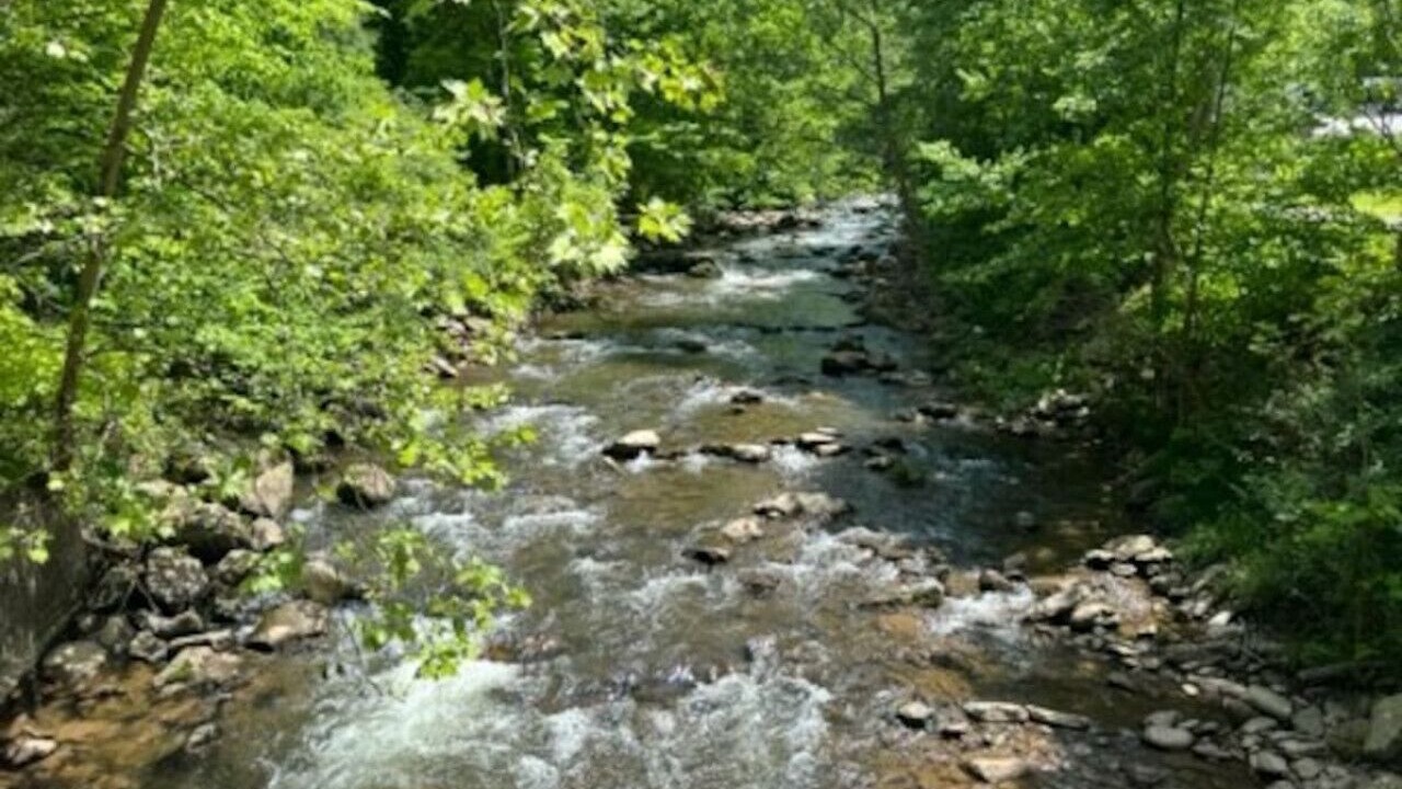 Photo of Others in Friendsville