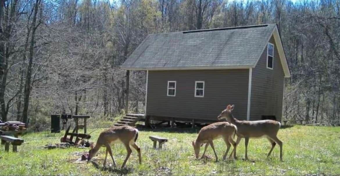 Photo of Others in Scottown