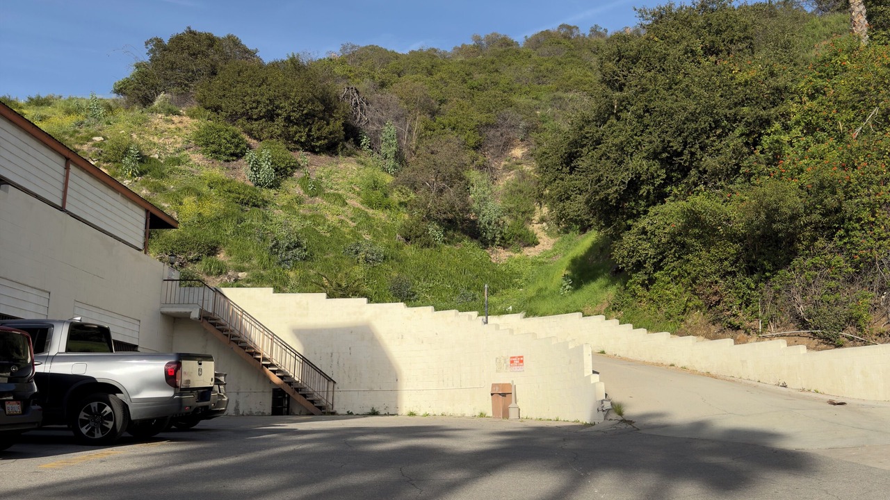 Photo of Others in Verdugo Woodlands