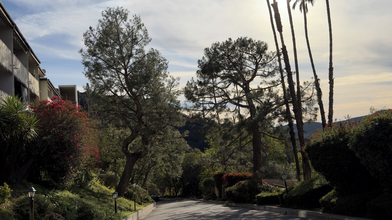 Photo of Others in Verdugo Woodlands