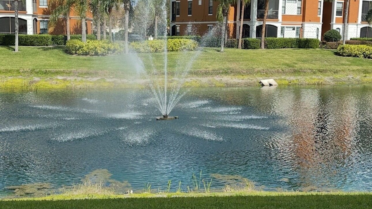 Photo of Outdoor in Sarasota