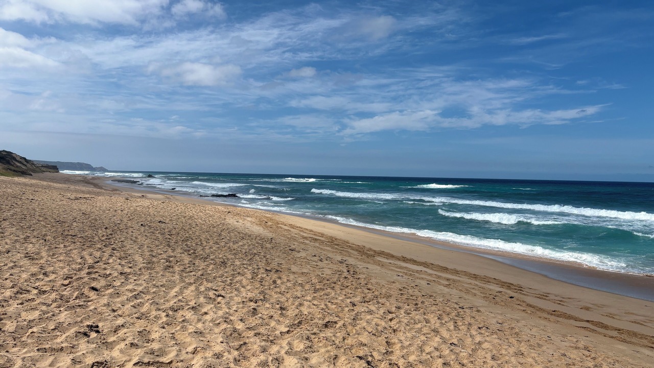 Photo of Others in St. Andrews Beach