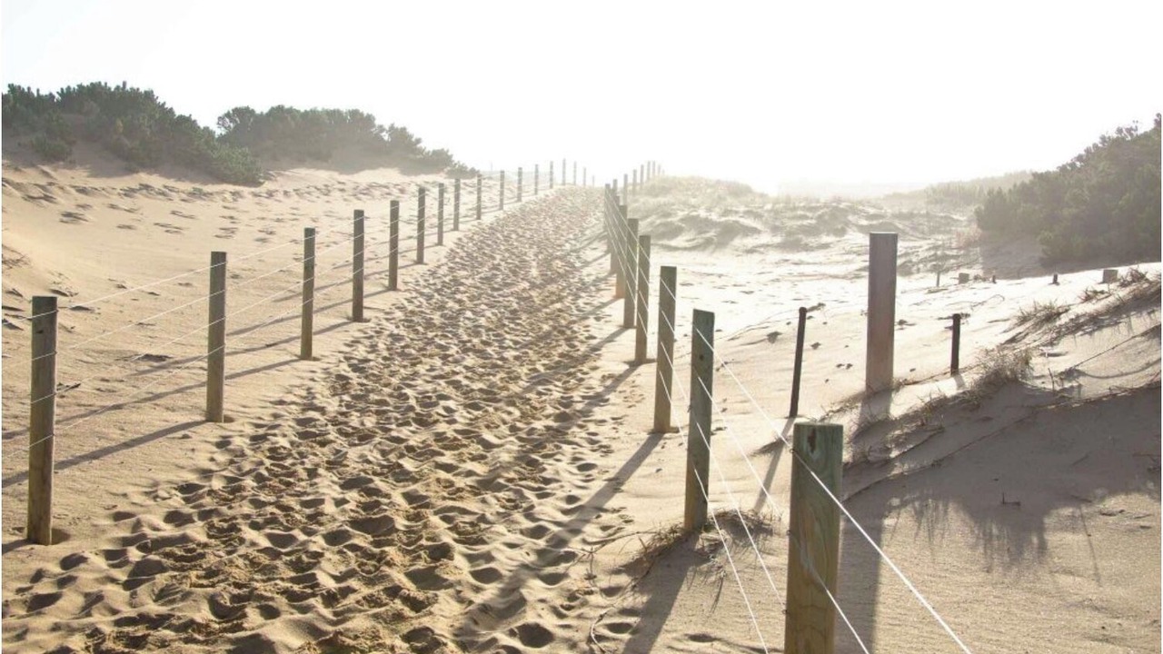 Photo of Others in St. Andrews Beach