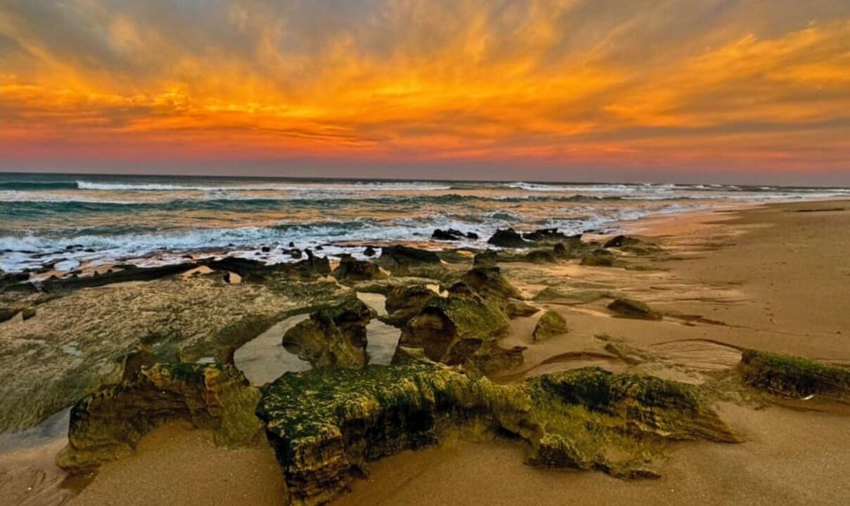 Photo of Others in St. Andrews Beach
