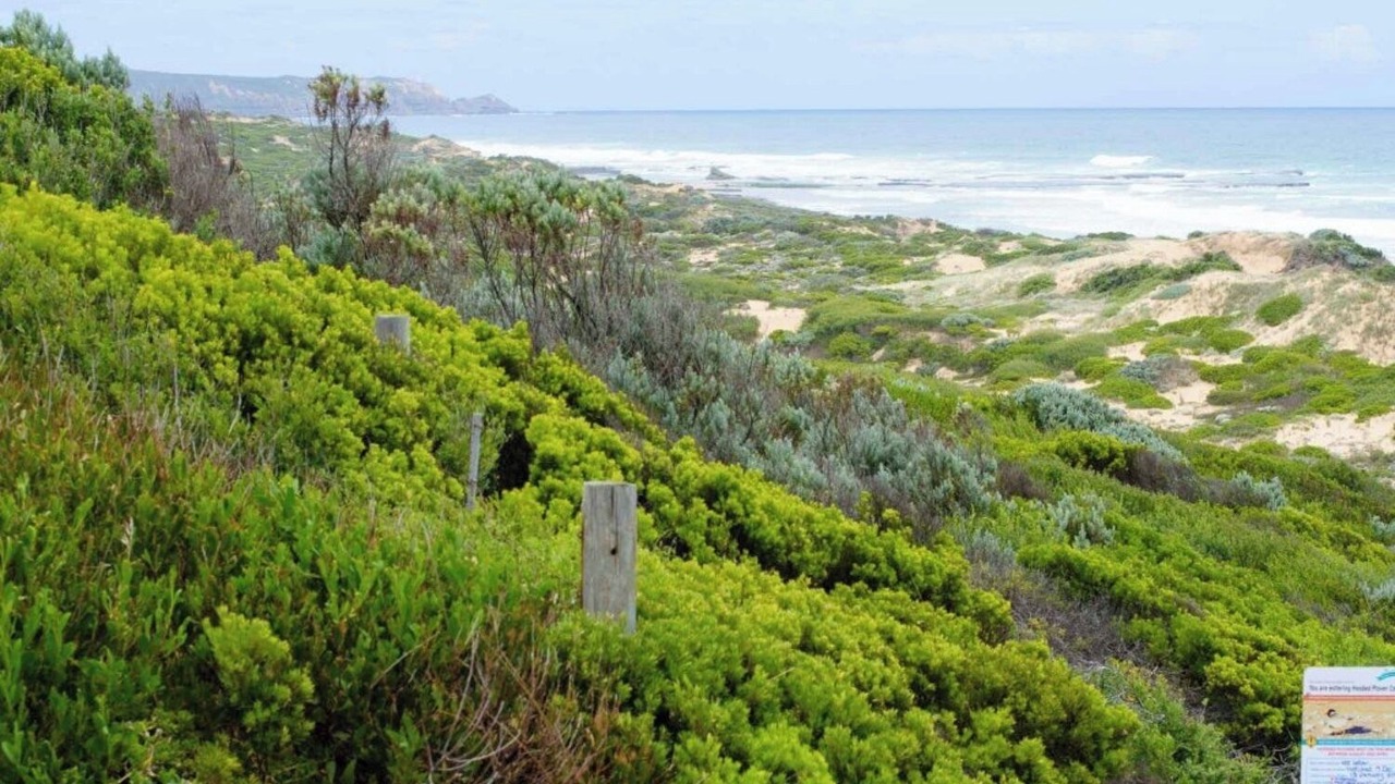 Photo of Others in St. Andrews Beach