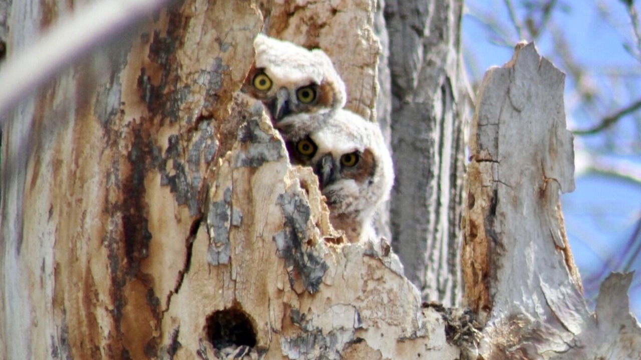 Photo of Others in Grand Isle
